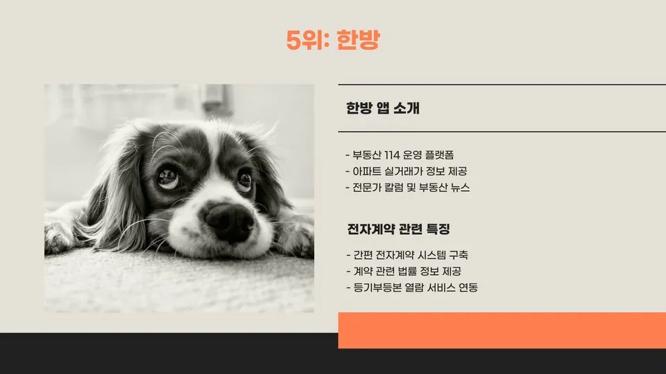 부동산 전자계약 이미지 12